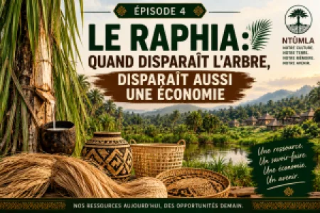 ÉPISODE 4 — LE RAPHIA : QUAND DISPARAÎT L’ARBRE, DISPARAÎT AUSSI UNE ÉCONOMIE